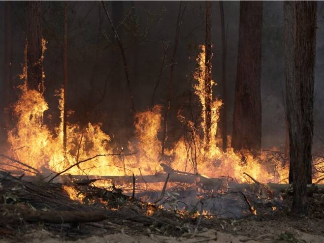 Požar (foto: AP/TASS/Rick Rycroft) 