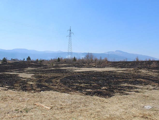 Lokalizovan požar u opštini Petrovac (Foto: SRNA)