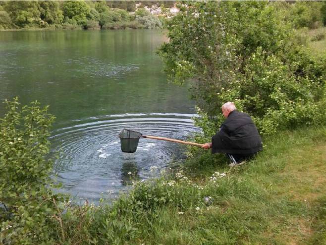 Пoribljavanje ribolovnih voda Trebinja - Фото: СРНА