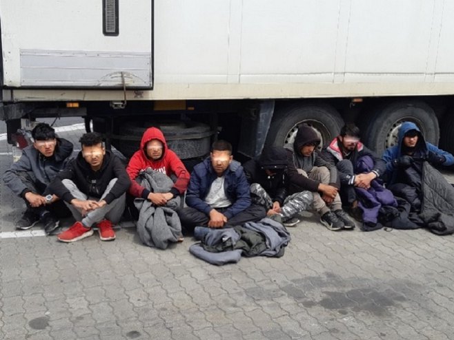 Мигранти откривени у товару купуса (фото:carina.rs) - 