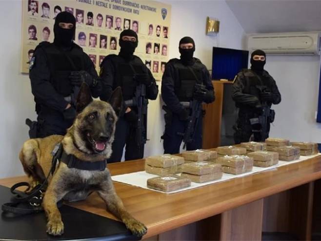 Пас нањушио кокаин (фото: MUP Hrvatske / Privatna arhiva) Пас нањушио кокаин (фото: MUP Hrvatske / Privatna arhiva) -