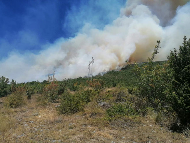 Trebinje: Požar u Banjevcima (Foto: RTRS)