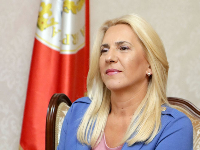 Цвијановић: Српска усмјерена на јачање енергетских капацитета и институција