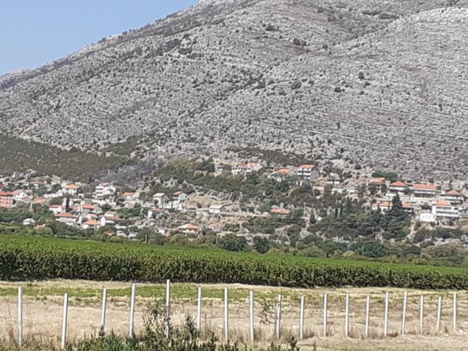 Trebinje, ugašen požar (Foto: RTRS)