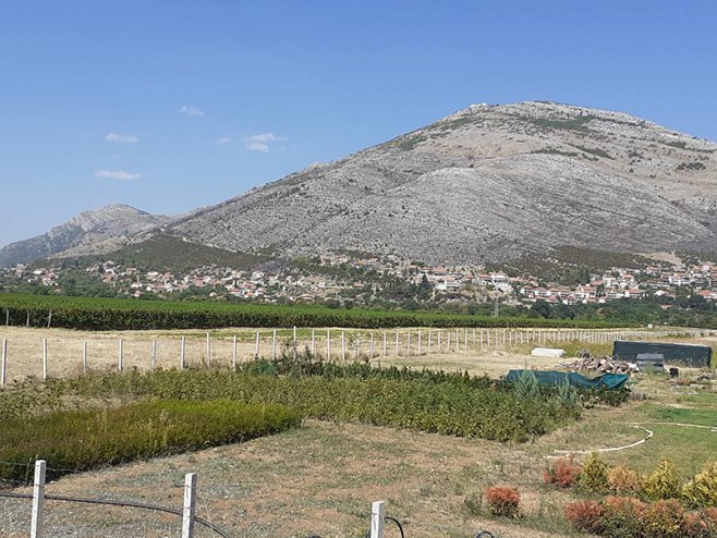 Trebinje-ugašen požar (Foto: RTRS)
