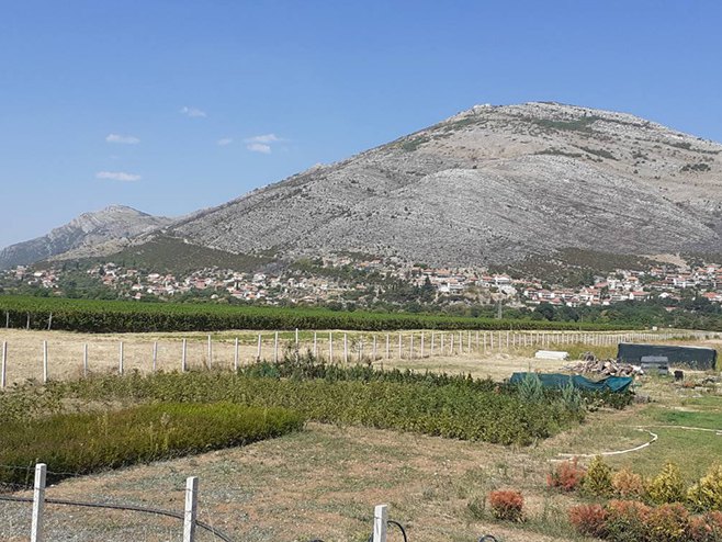 Trebinje-ugašen požar (Foto: RTRS)