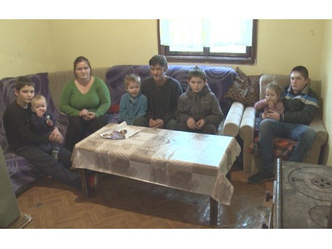 Породица Кокић Породица Кокић -