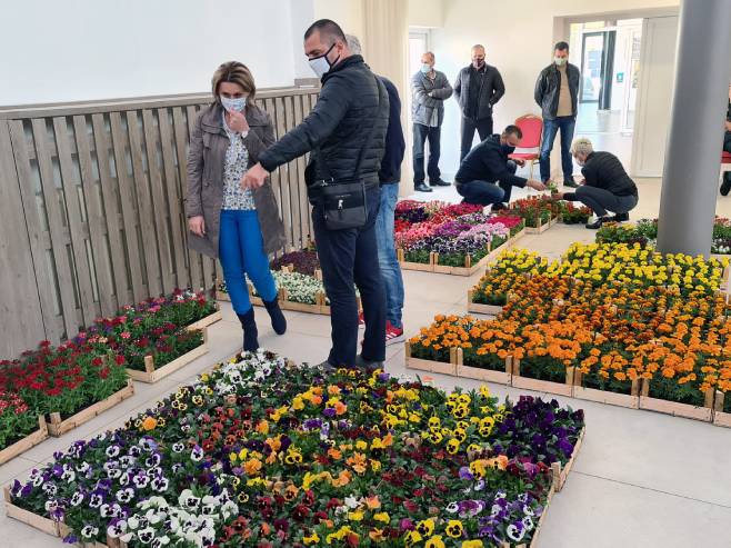 Doboj: Podjela sadnica cvijeća (Foto: Srna)