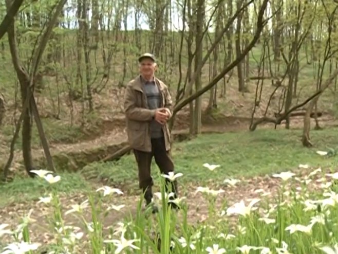 Деда чувар шуме Деда чувар шуме - Фото: РТРС
