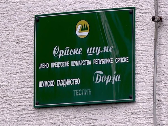 Шумско газдинство "Борја" (фото: tvk3.info) Шумско газдинство "Борја" (фото: tvk3.info) -