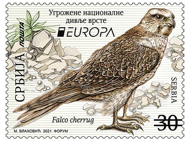 Поштанска марка "Степски соко" (Фото: Поште Србије) 