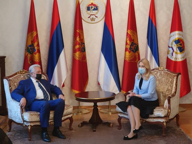 Цвијановић и Кривокапић Цвијановић и Кривокапић - Фото: РТРС