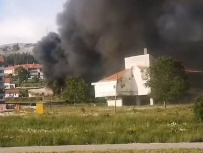 Гацко - Пожар - Фото: Screenshot/YouTube