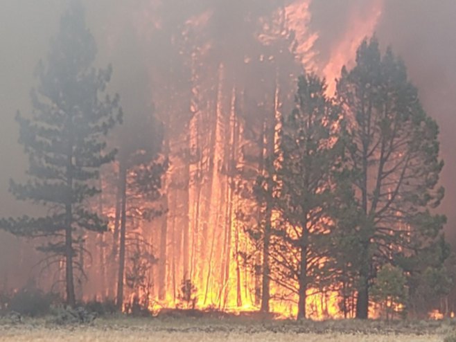Požari u Americi (foto:Oregon State Fire Marshals Office) 
