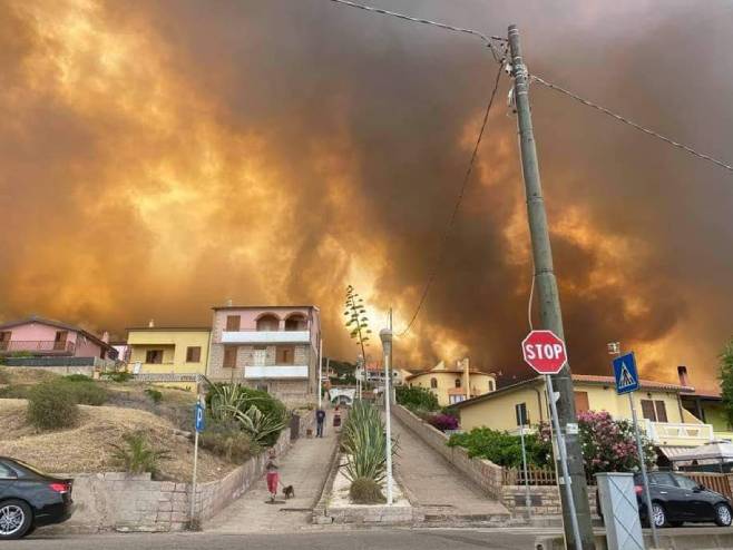 Пожар на Сардинији (Фото: Twitter)