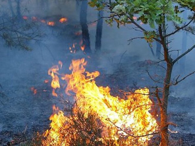 Пожар у Сјеверној Македонији (Фото:intellinews.com) - 