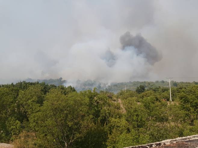Љубиње - пожар у рејону села Банчићи - Фото: СРНА
