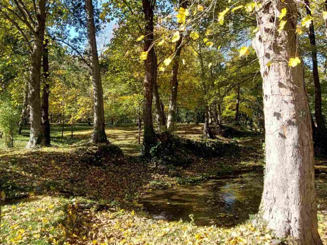 Јесен Јесен - Фото: РТРС