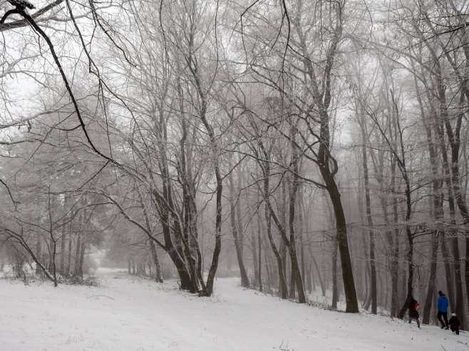Snijeg (Foto: TANJUG/ NENAD MIHAJLOVIC) - 