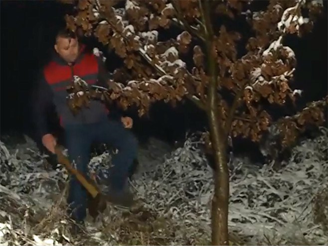 Сјеча Бадњака - Фото: Screenshot