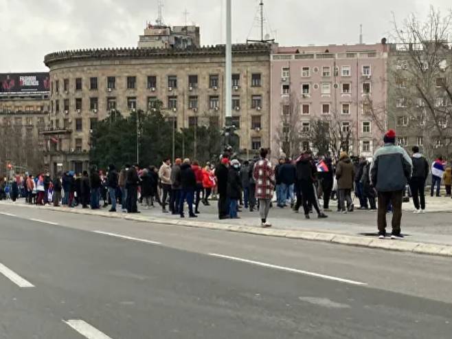 Скуп подршке Новаку Ђоковићу (Фото: Sputnik / Петар Тадић) - 