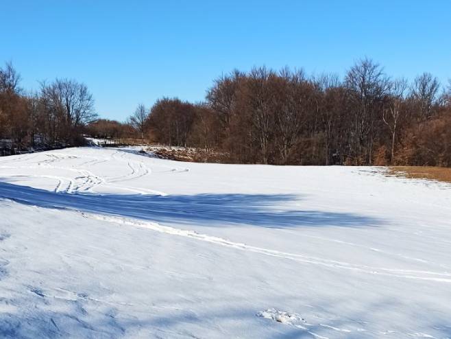 Пукла сајла на ски-лифту, повријеђено једно лице Пукла сајла на ски-лифту, повријеђено једно лице