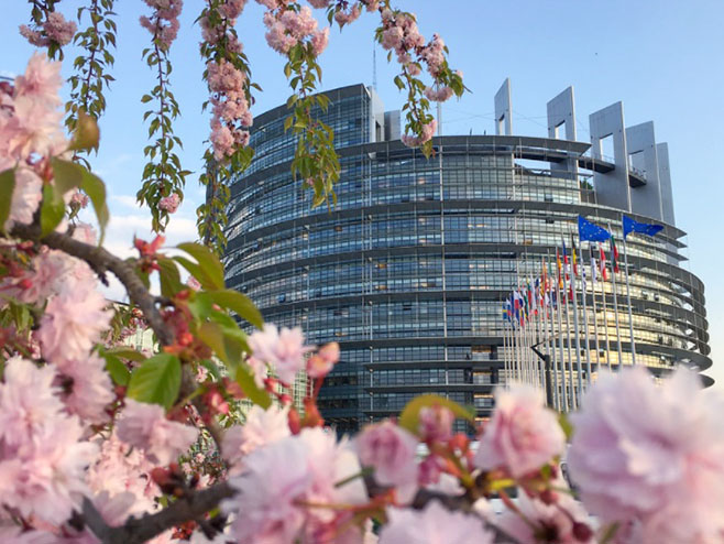 Фурлас: Нема проширења ЕУ без Србије, поднио сам амандмане на Пицулин извештај