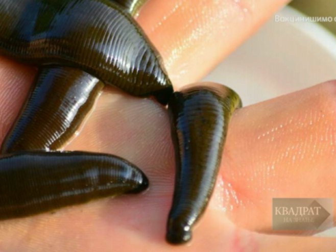 Пијавце Пијавце - Фото: РТРС