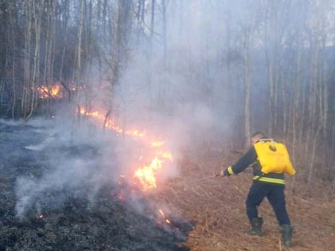 Милићи-пожар Милићи-пожар - Фото: СРНА