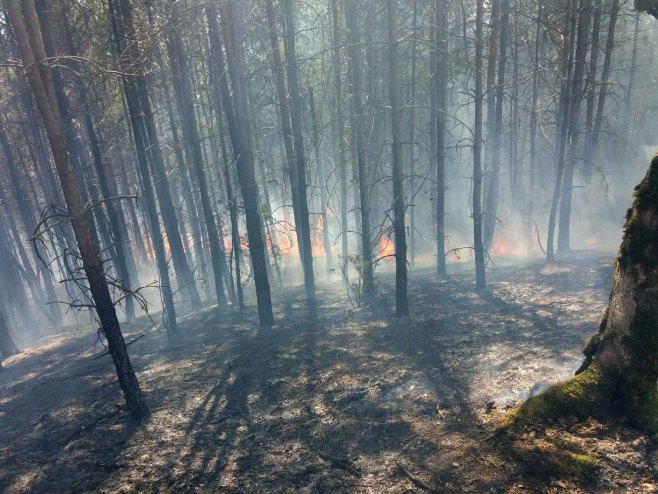 Пожари у Фочи (Фото: СРНА)
