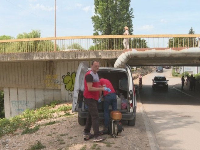 Дератизација Дератизација - Фото: РТРС