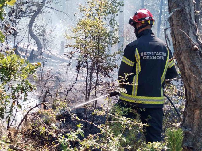 Požar kod Preševa (Foto: SRNA)