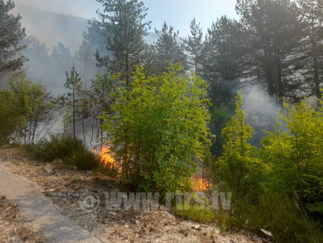 Helikopteri MUP-a Srbije stigli u Trebinje (Foto: RTRS)