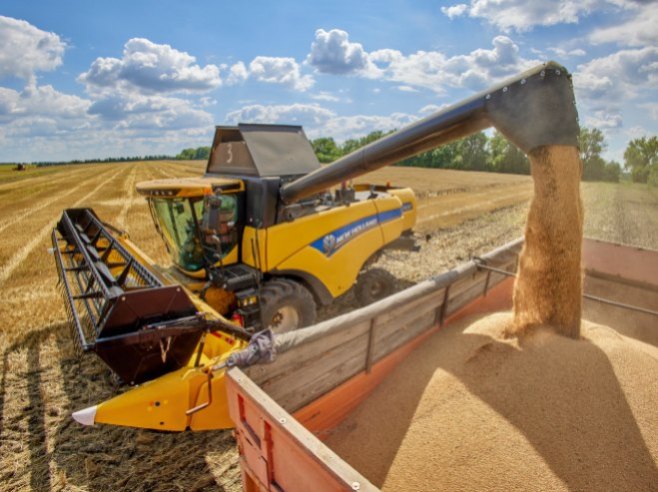 Žetva pšenice (Foto: EPA-EFE/SERGEY KOZLOV) - 