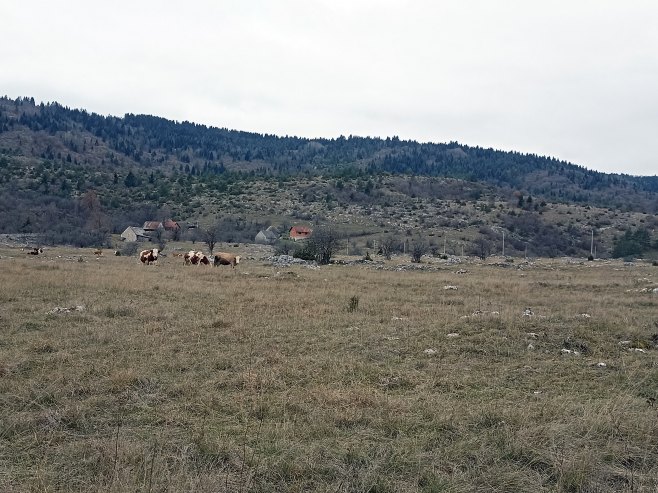 Гламоч - село Роре (Фото: СРНА)
