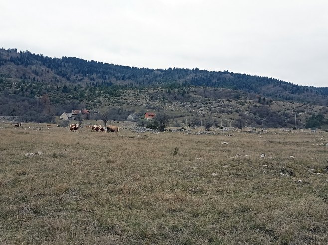 Glamoč - selo Rore (Foto: SRNA)