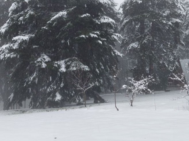Kozara (Foto: RTRS)