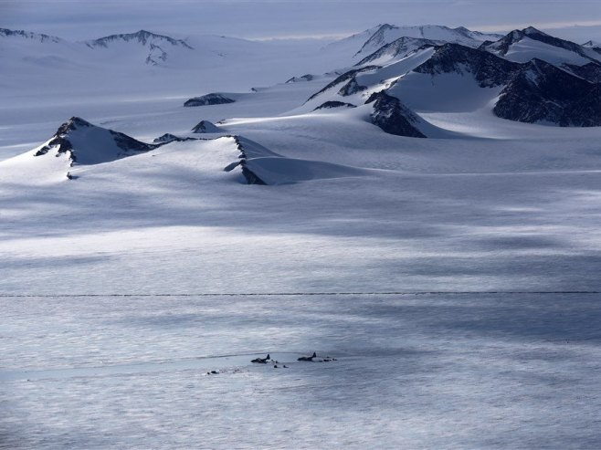 Антарктик (Фото: EPA-EFE/FELIPE TRUEBA) - 