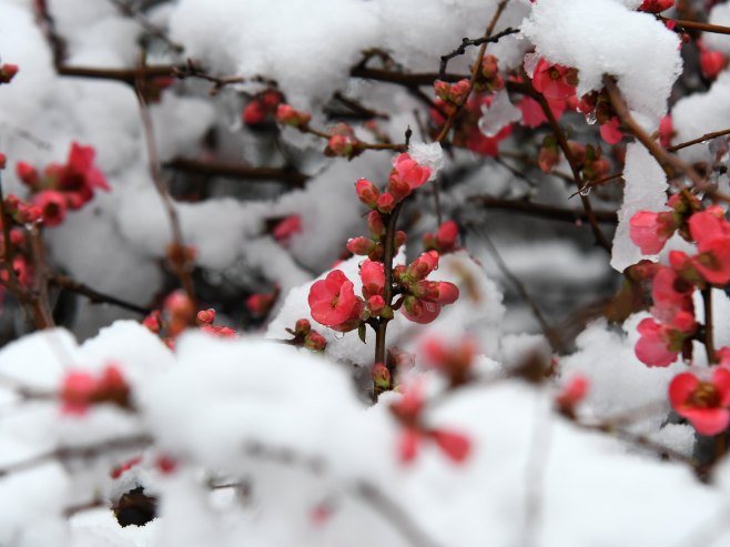 Зима (Фото: Танјуг/Ненад Михајловић) - 