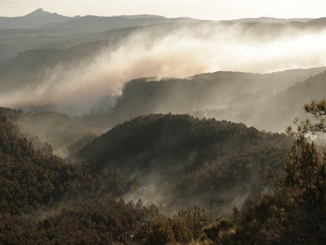 Шпанија: Због великог шумског пожара евакуисано више од 1.500 људи