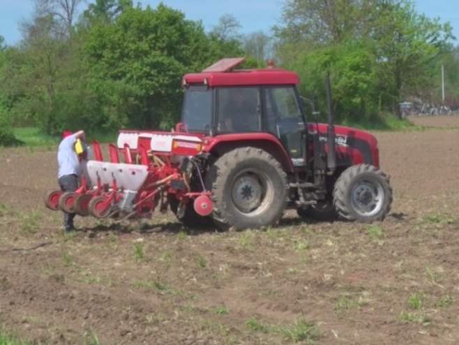 Сјетва - Фото: РТРС