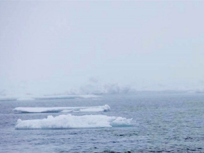 Арктик (Фото: EPA/JASON ROBERTS) - 
