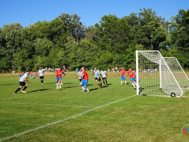 Србијада у Чикагу (Фото: Serbian Times, Saša Lukić (STV)) - 