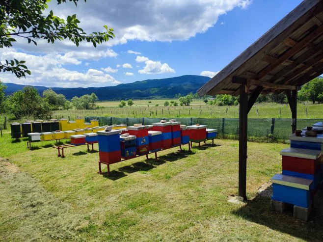 Пчелињак породице Чеко у Босанском Грахову Пчелињак породице Чеко у Босанском Грахову - Фото: СРНА