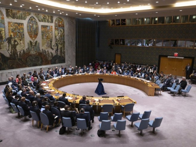 Њемачка одбацила приједлог Зеленског да се Русији одузме право вета у СБ УН