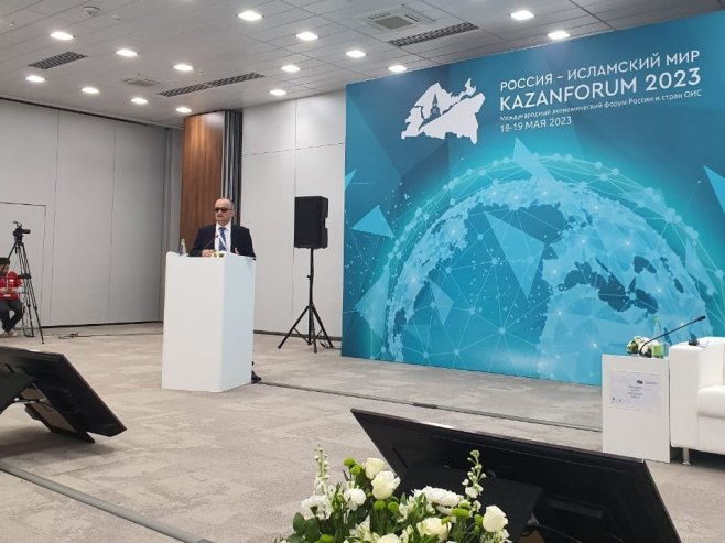Џевад Галијашевић на конференцији у Казању - Фото: Уступљена фотографија