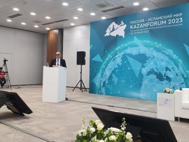 Џевад Галијашевић на конференцији у Казању Џевад Галијашевић на конференцији у Казању - Фото: Уступљена фотографија
