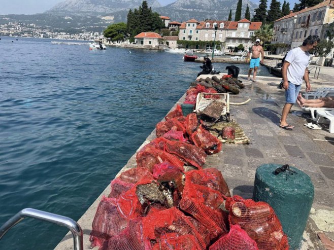 Црна Гора: Бањалучки рониоци у еколошкој акцији