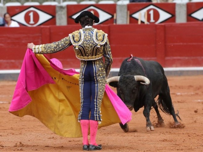 Борбе бикова у Шпанији (Фото: EPA-EFE/JMGARCIA) - 