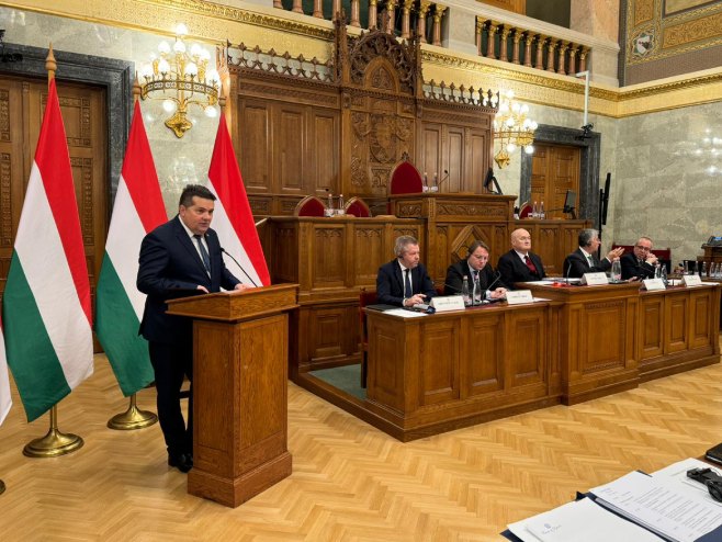 Ненад Стевандић у Мађарској Ненад Стевандић у Мађарској - Фото: Уступљена фотографија